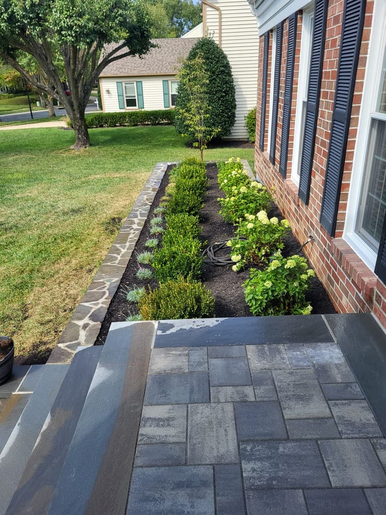 After — hydrangeas and boxwood filling the raised bed above the stacked-stone wall, beside the new landing