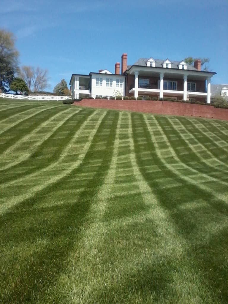 Lawn and Landscape Maintenance 