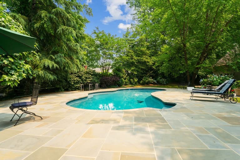 Freeform Pool & Stone Deck
