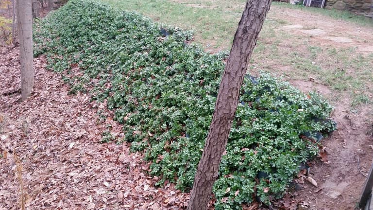 Slope Erosion Control w/ Slope Grid