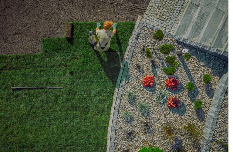 A healthy, maintained lawn on a King Cuts property